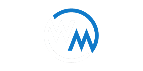 Visa partner logo